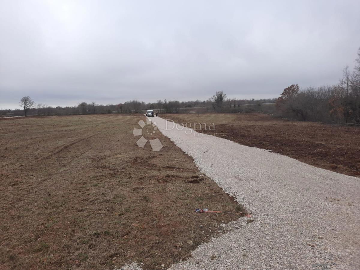 Kmetijsko zemljišče Vodnjan, 520m2