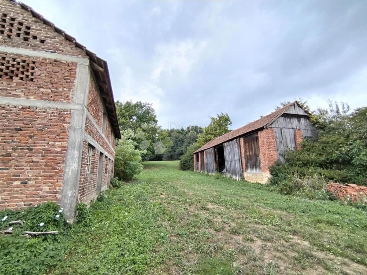 Hiša Gornji Fodrovec, Sveti Petar Orehovec, 198m2