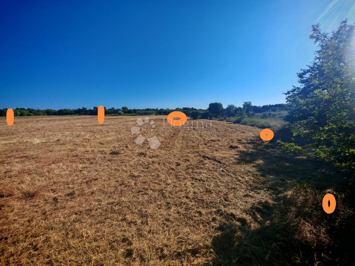 Zazidljivo zemljišče Marčana, 4.175m2