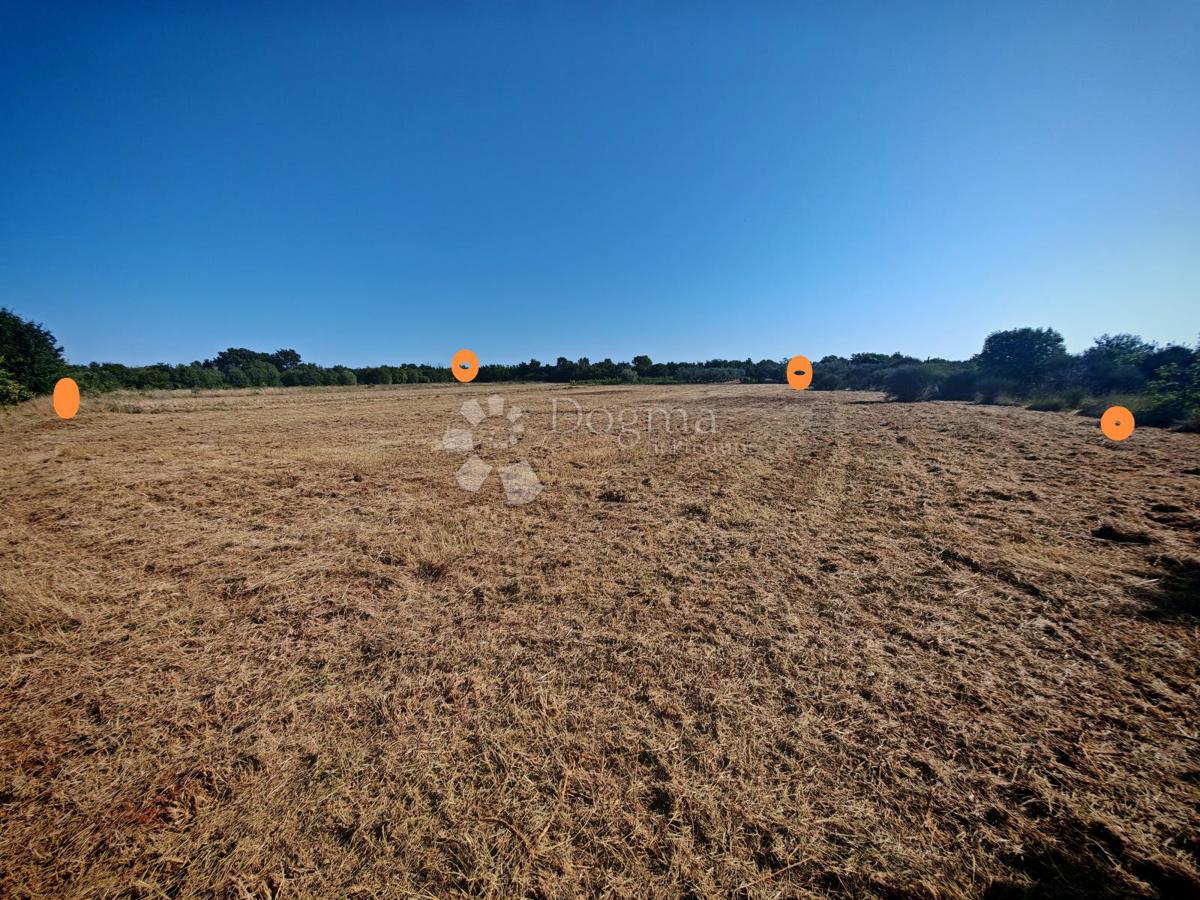 Zazidljivo zemljišče Marčana, 4.175m2