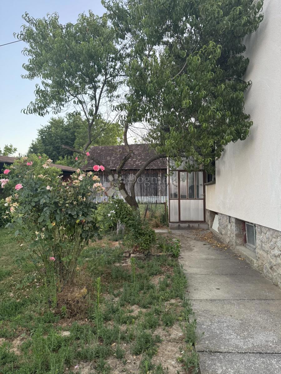 Hiša Kobasičari, Kapela, 220m2