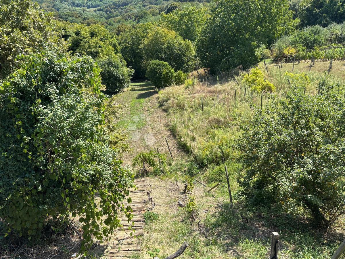 Hiša Kelemen, Jalžabet, 469m2