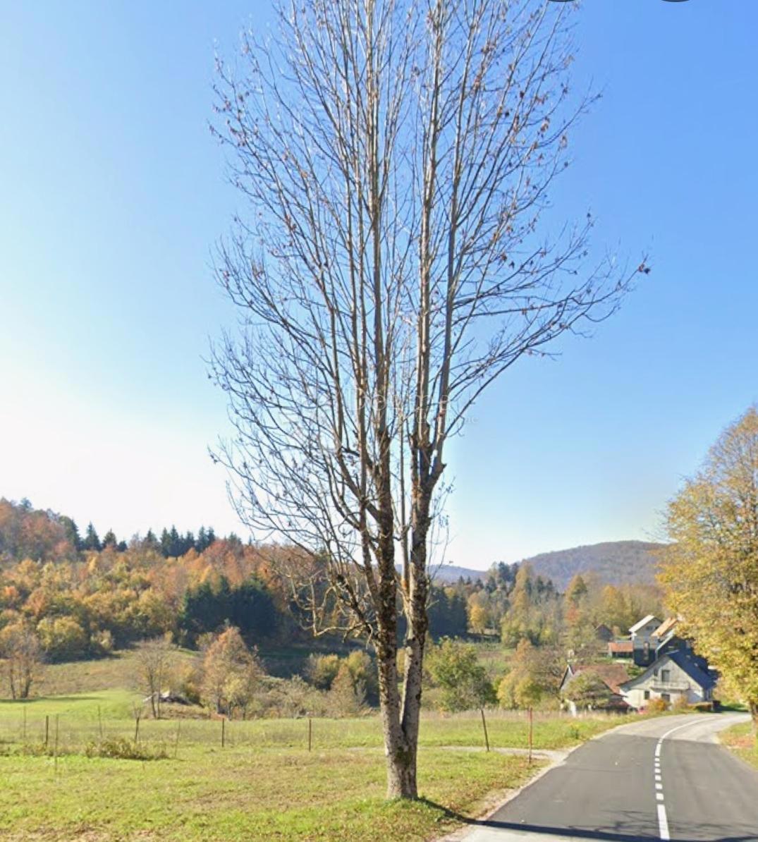 Zazidljivo zemljišče Stari Laz, Ravna Gora, 1.500m2