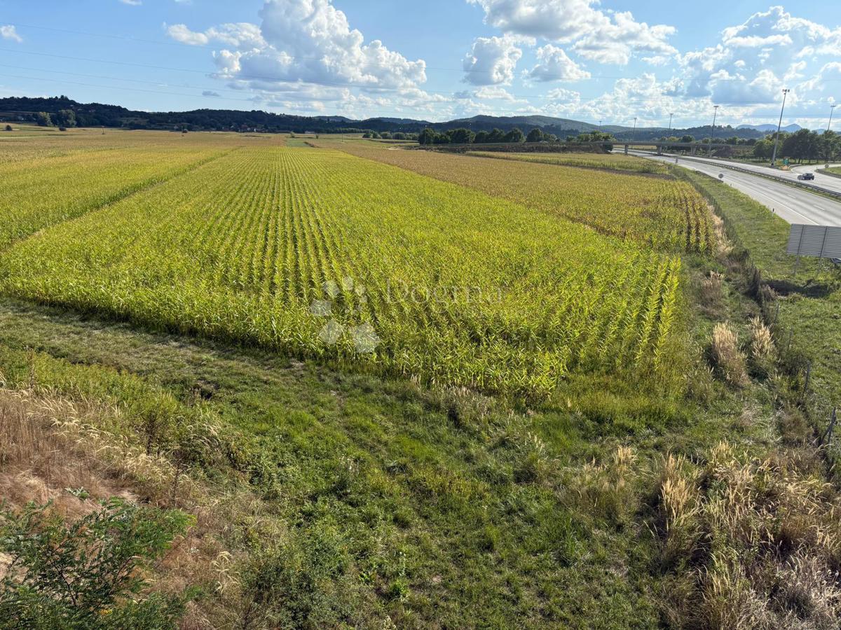 Kmetijsko zemljišče Jakopovec, Jalžabet, 14.618m2