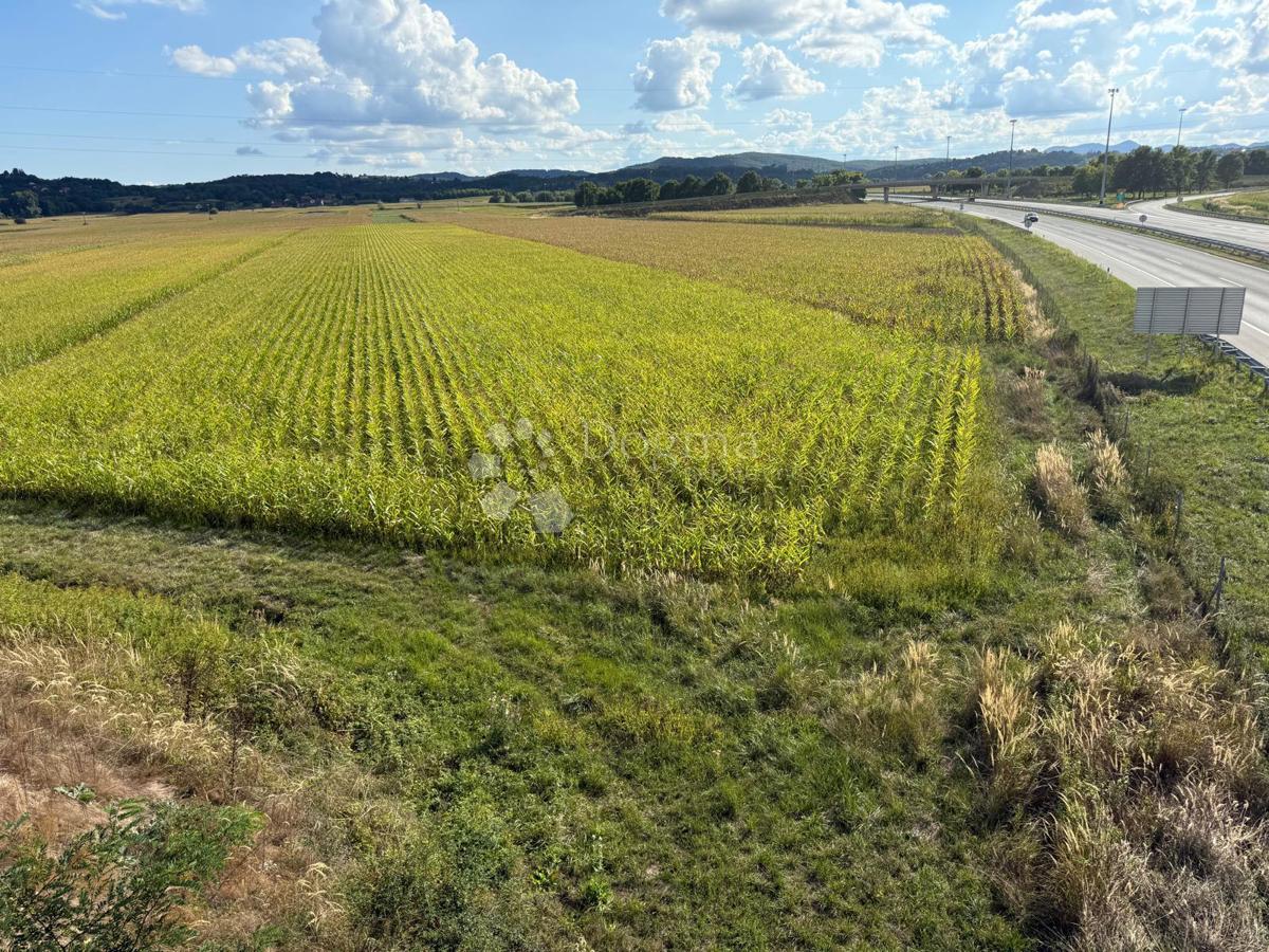 Kmetijsko zemljišče Jakopovec, Jalžabet, 14.618m2