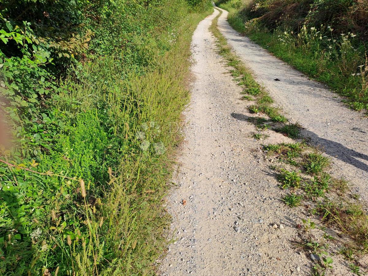 Zazidljivo zemljišče Donja Čemernica, Topusko, 4.593m2
