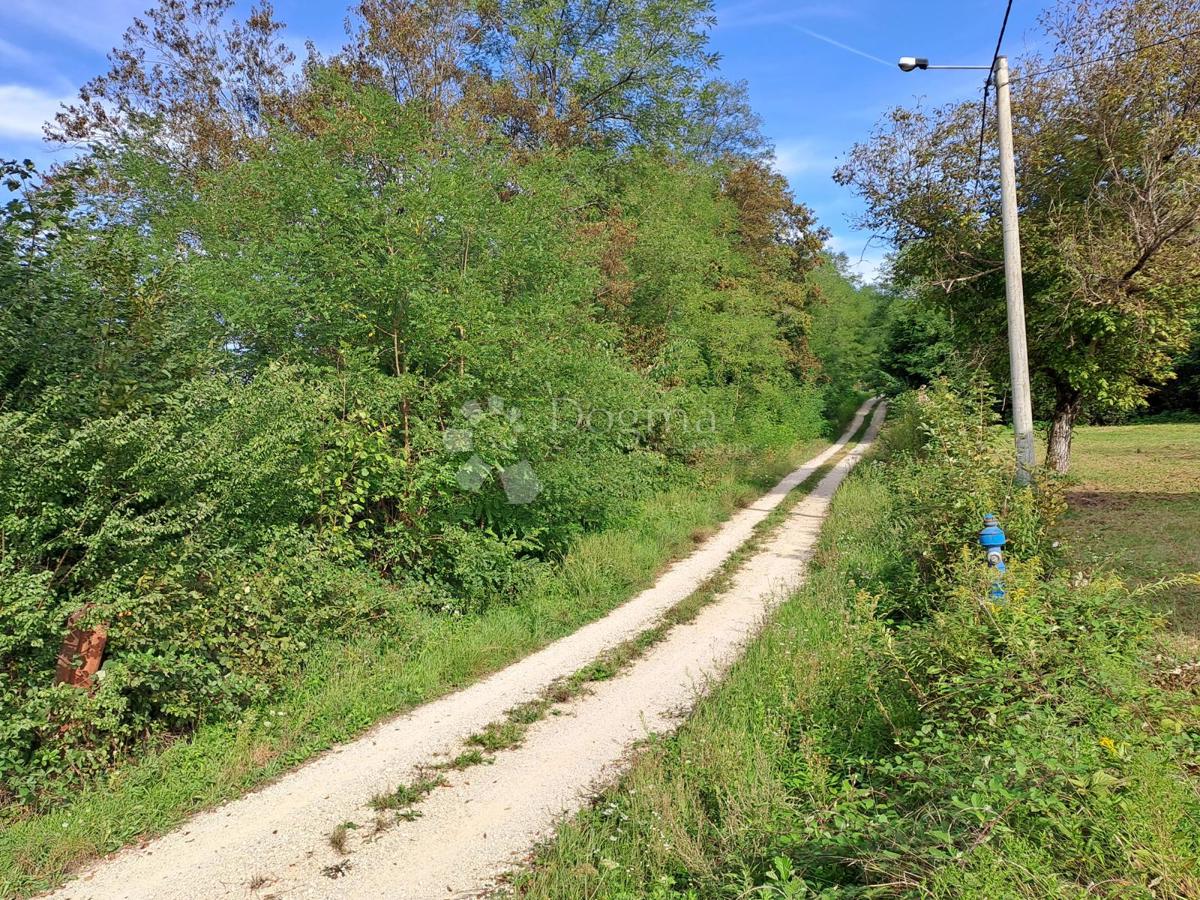 Zazidljivo zemljišče Donja Čemernica, Topusko, 4.593m2