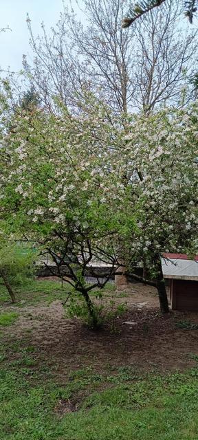 Hiša Delnice, 365m2