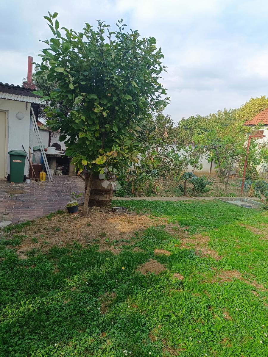 Hiša Mitnica, Vukovar, 393m2