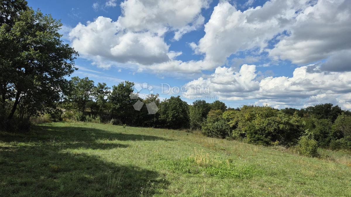 Kmetijsko zemljišče s kažunom (tradicionalno vaško hišo) velikosti 3550 m2