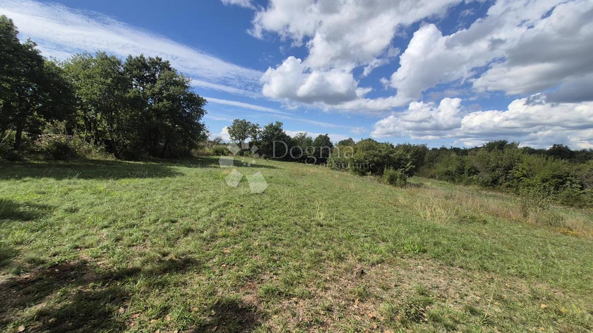 Kmetijsko zemljišče s kažunom (tradicionalno vaško hišo) velikosti 3550 m2