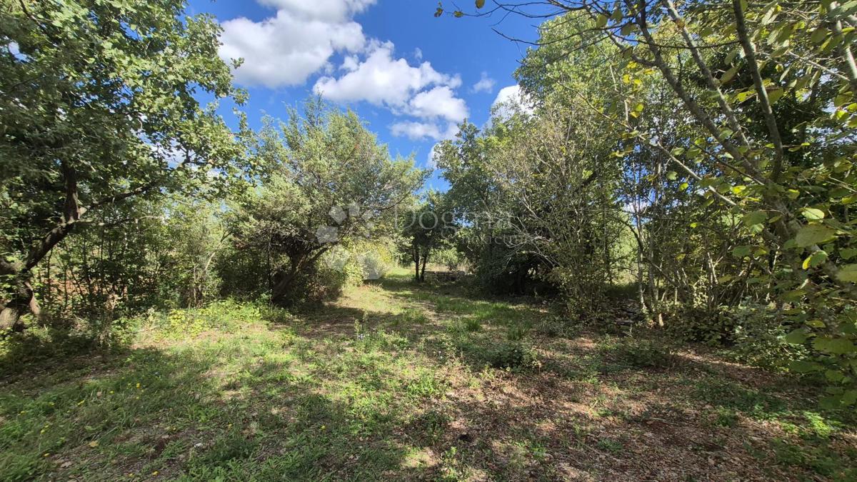 Kmetijsko zemljišče s kažunom (tradicionalno vaško hišo) velikosti 3550 m2