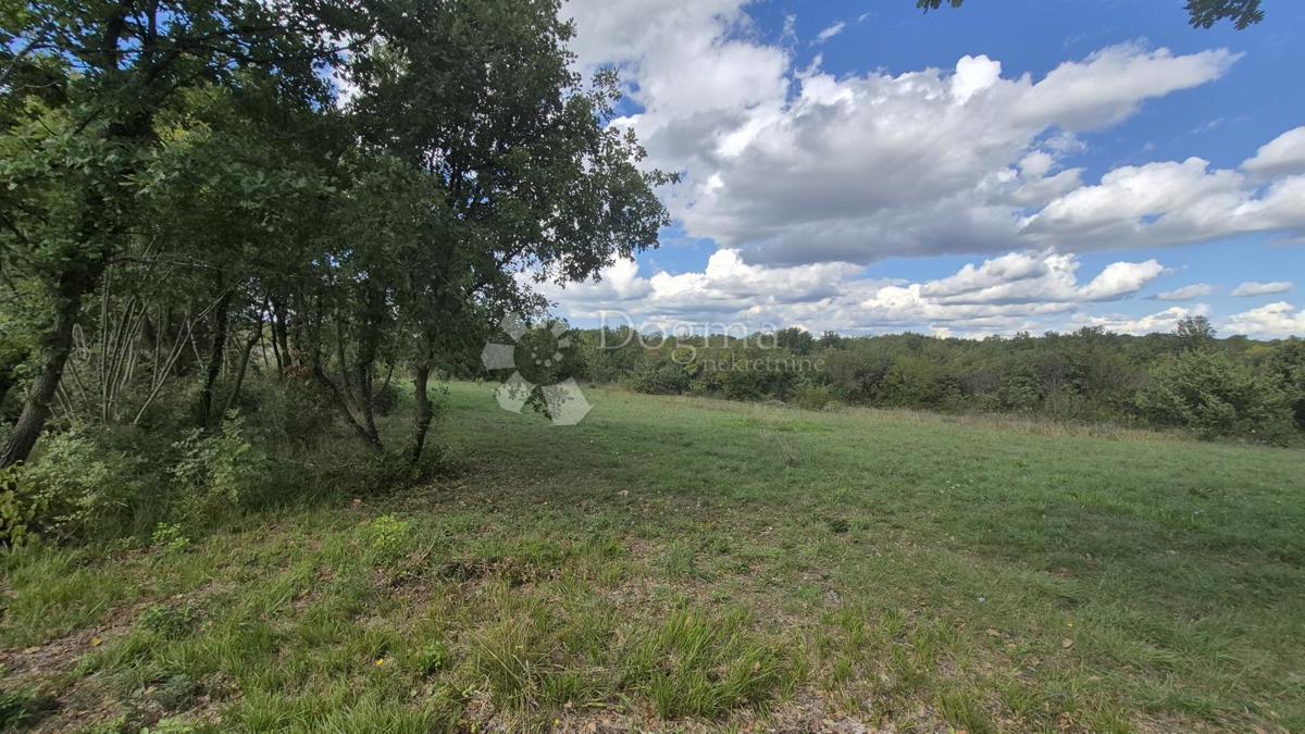 Kmetijsko zemljišče s kažunom (tradicionalno vaško hišo) velikosti 3550 m2