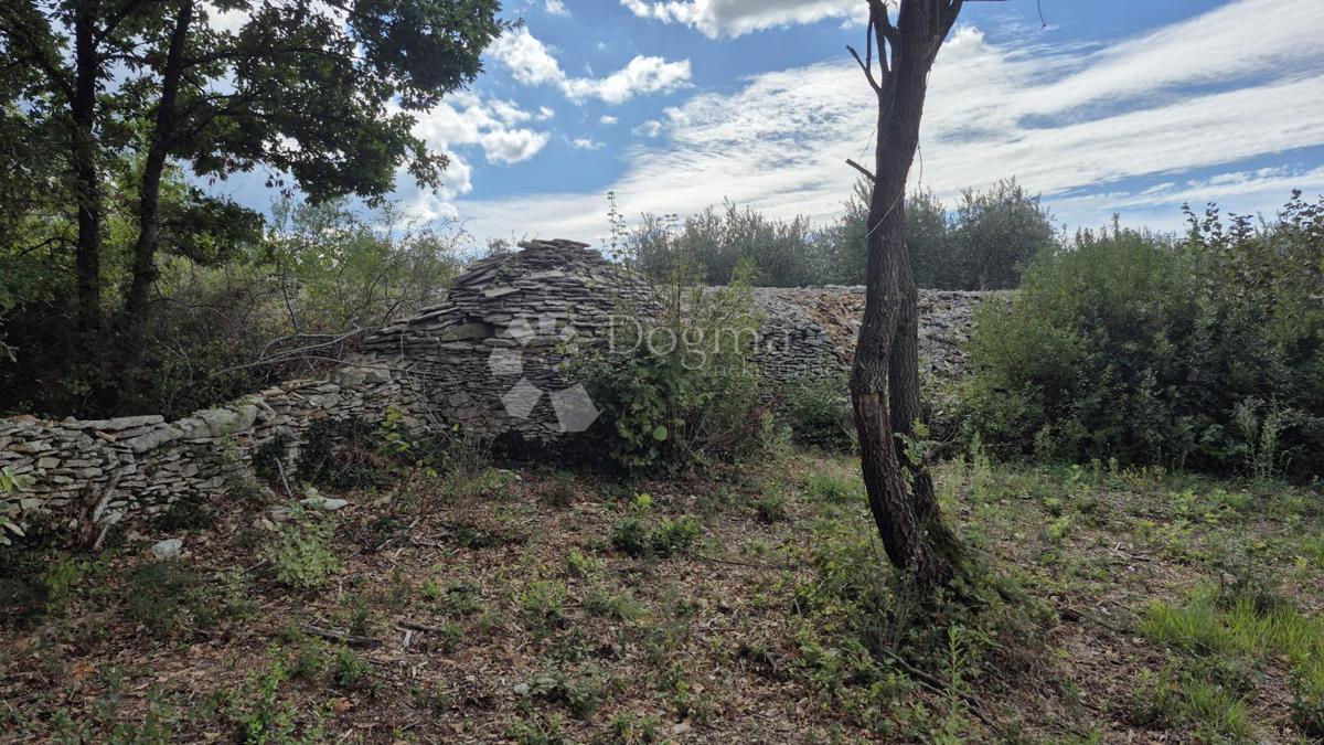 Kmetijsko zemljišče s kažunom (tradicionalno vaško hišo) velikosti 3550 m2