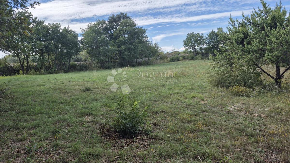 Kmetijsko zemljišče s kažunom (tradicionalno vaško hišo) velikosti 3550 m2