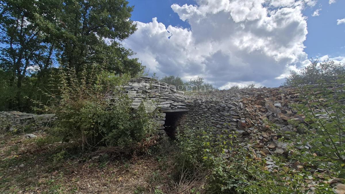 Kmetijsko zemljišče s kažunom (tradicionalno vaško hišo) velikosti 3550 m2