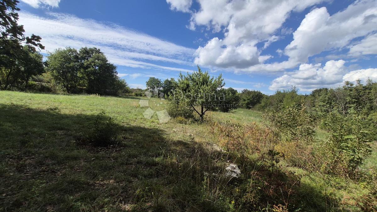 Kmetijsko zemljišče s kažunom (tradicionalno vaško hišo) velikosti 3550 m2