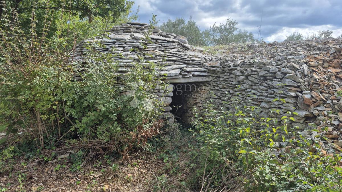 Kmetijsko zemljišče s kažunom (tradicionalno vaško hišo) velikosti 3550 m2
