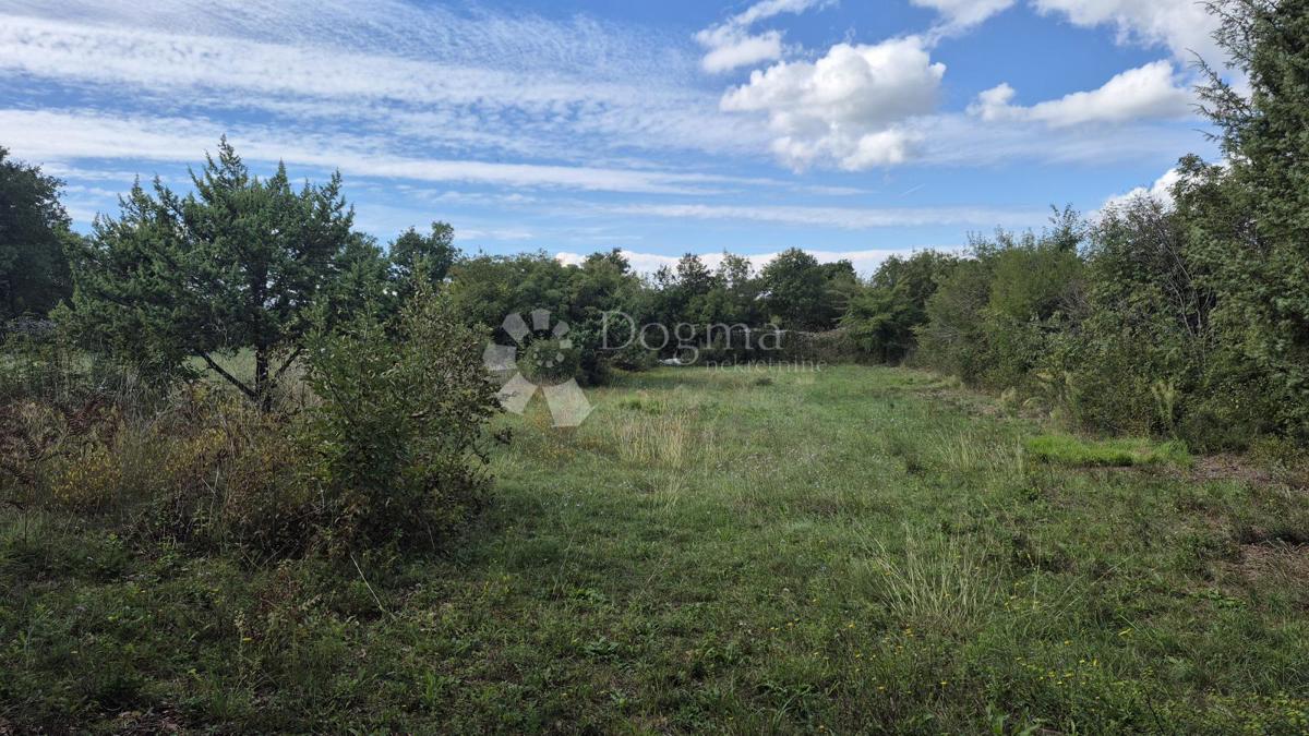 Kmetijsko zemljišče s kažunom (tradicionalno vaško hišo) velikosti 3550 m2