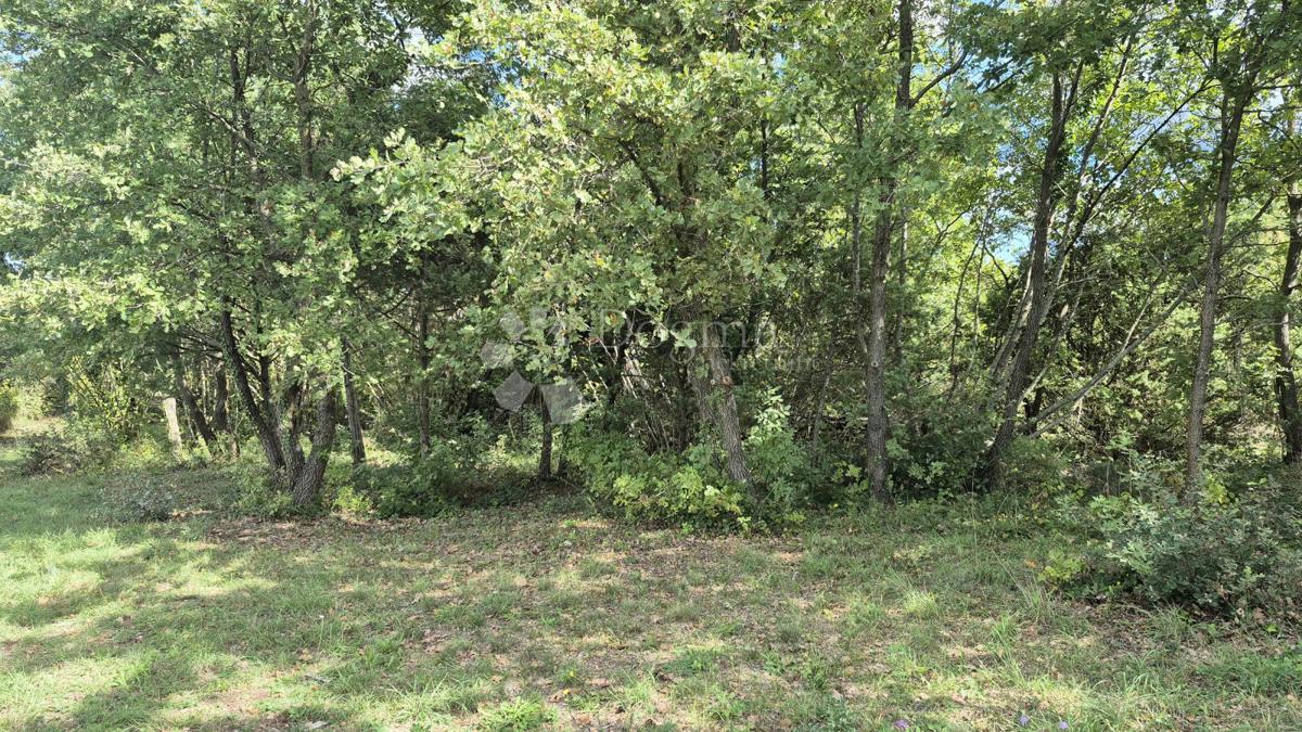 Kmetijsko zemljišče s kažunom (tradicionalno vaško hišo) velikosti 3550 m2