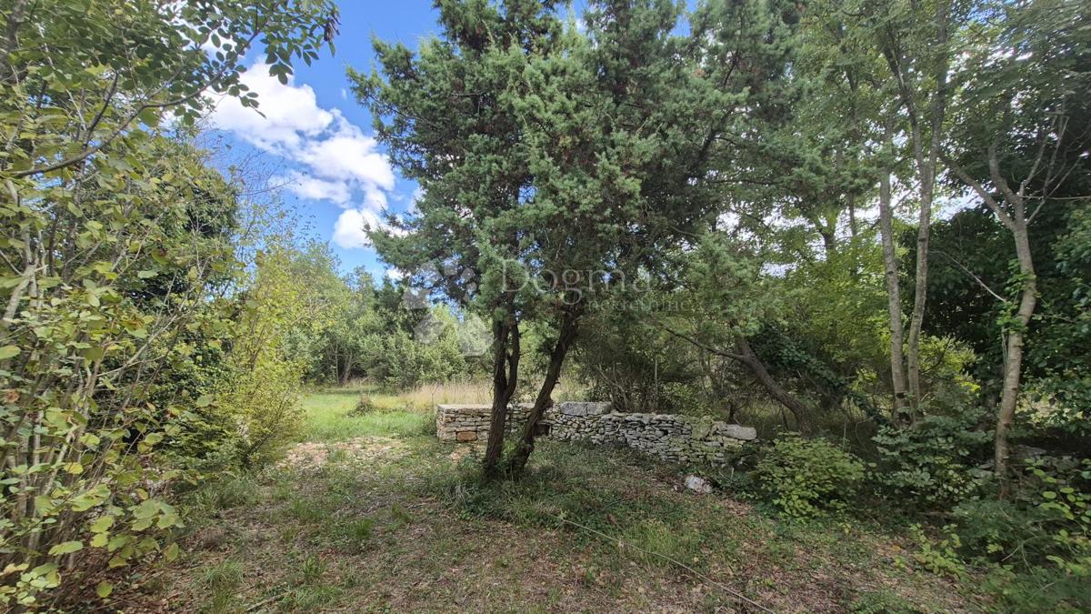 Kmetijsko zemljišče s kažunom (tradicionalno vaško hišo) velikosti 3550 m2