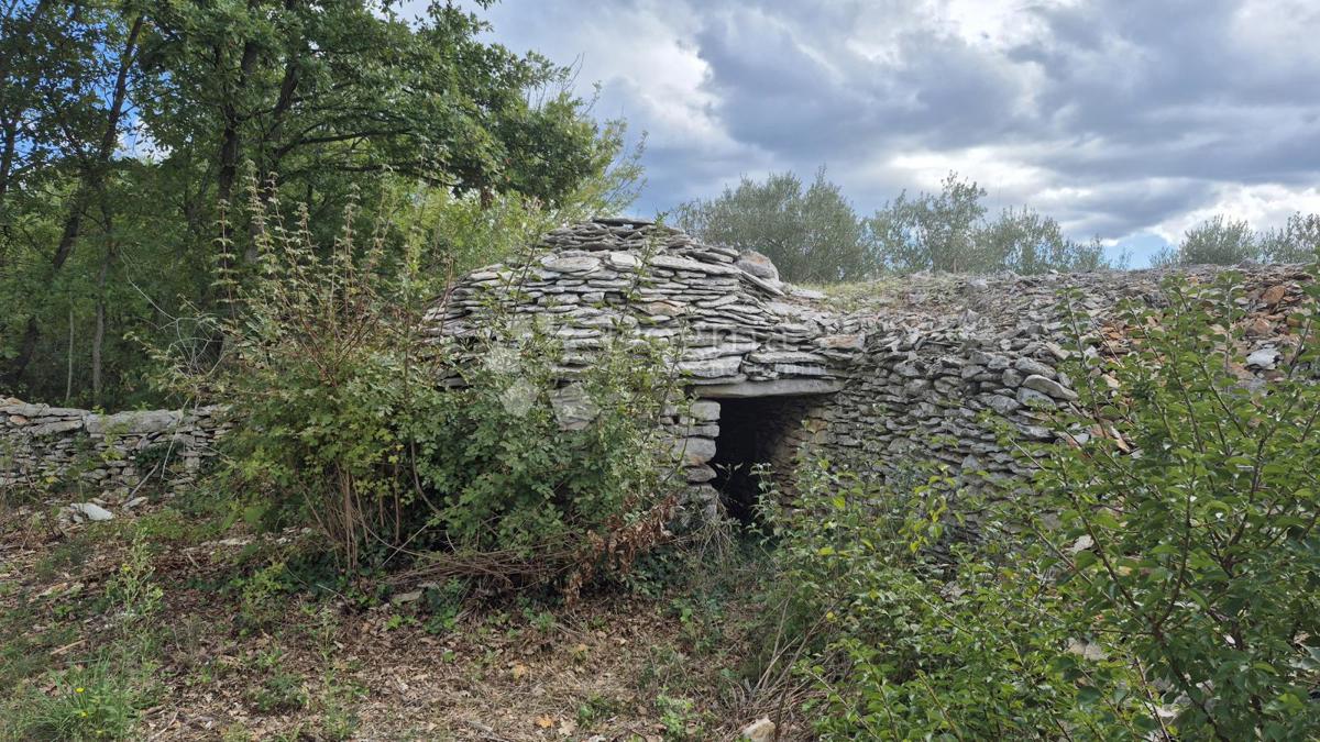 Kmetijsko zemljišče s kažunom (tradicionalno vaško hišo) velikosti 3550 m2