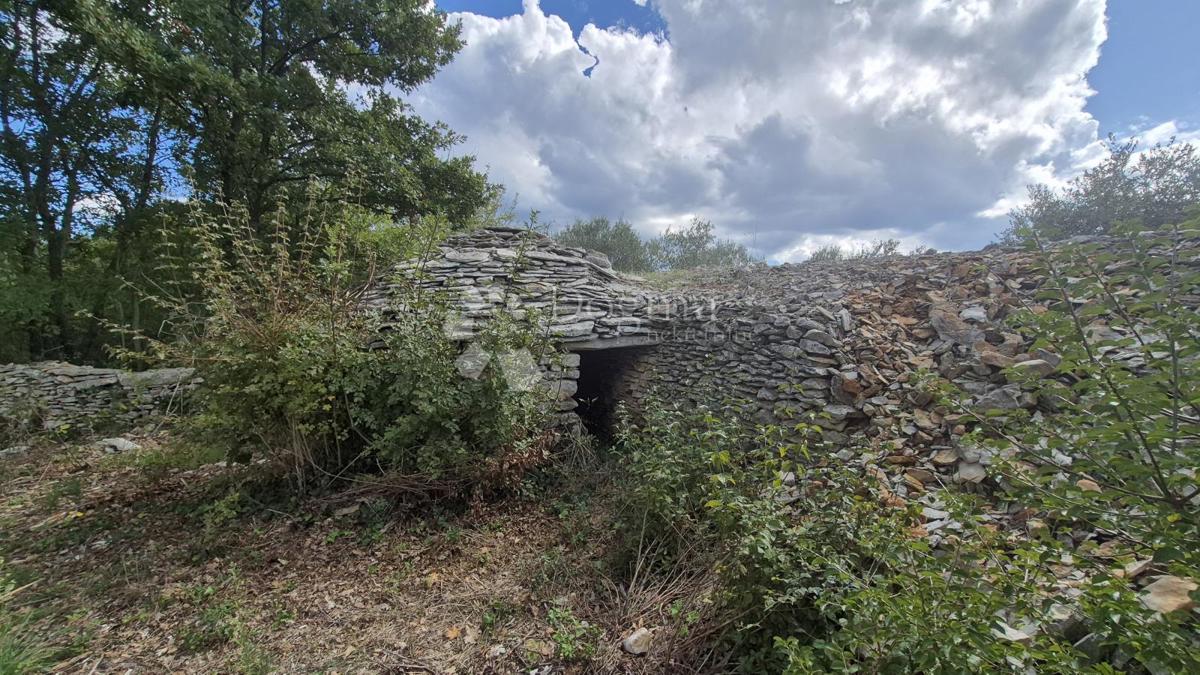 Kmetijsko zemljišče s kažunom (tradicionalno vaško hišo) velikosti 3550 m2