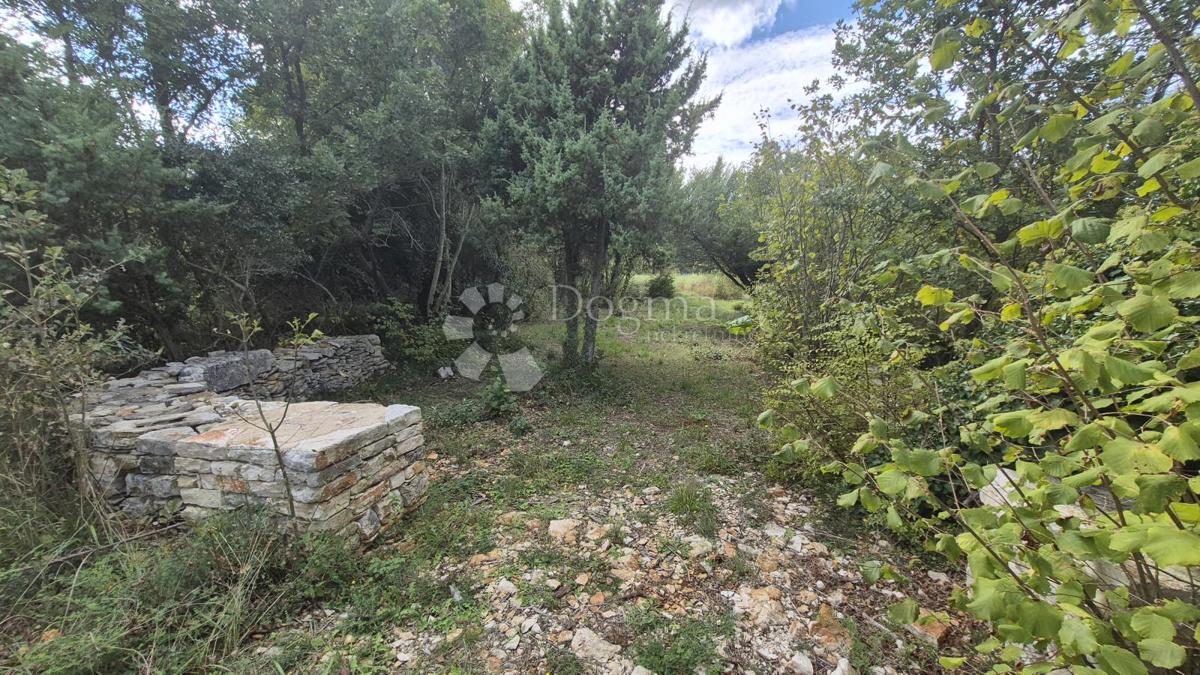 Kmetijsko zemljišče s kažunom (tradicionalno vaško hišo) velikosti 3550 m2