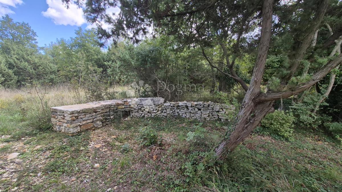 Kmetijsko zemljišče s kažunom (tradicionalno vaško hišo) velikosti 3550 m2