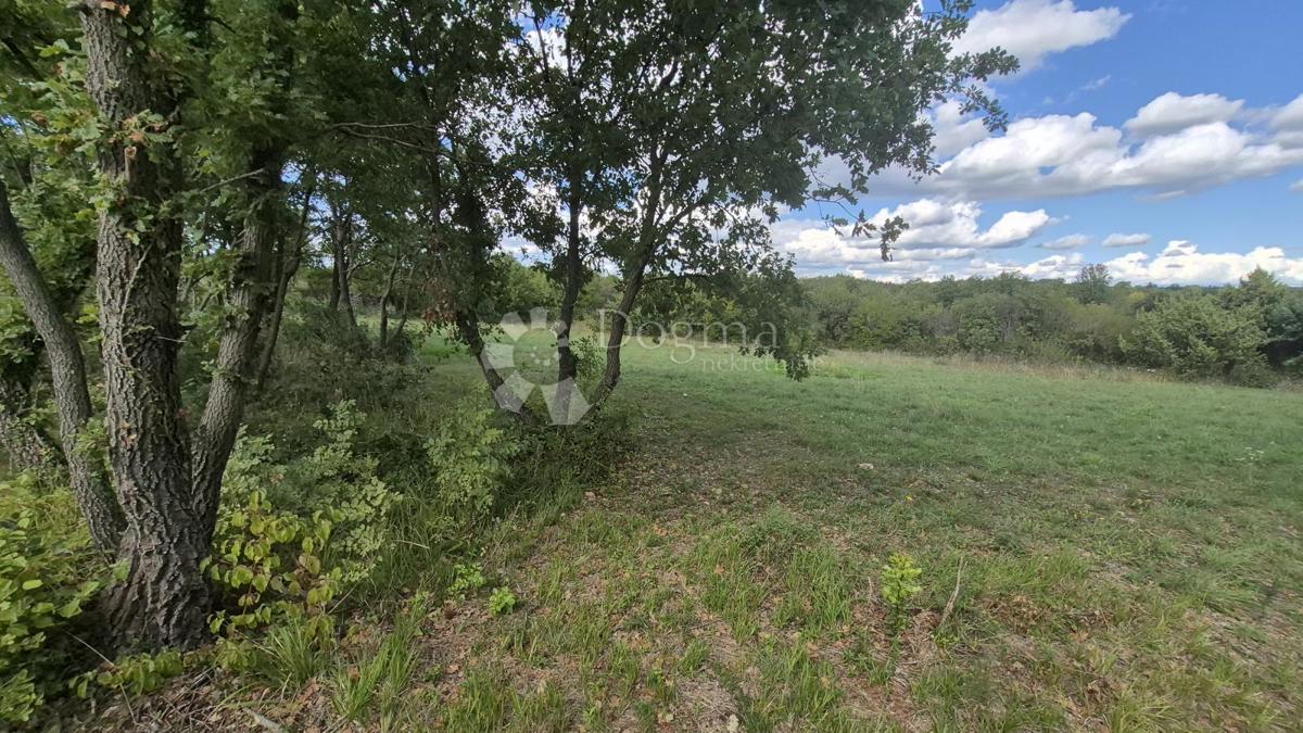 Kmetijsko zemljišče s kažunom (tradicionalno vaško hišo) velikosti 3550 m2