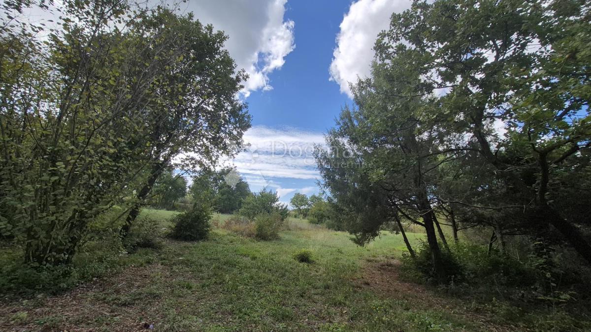 Kmetijsko zemljišče s kažunom (tradicionalno vaško hišo) velikosti 3550 m2