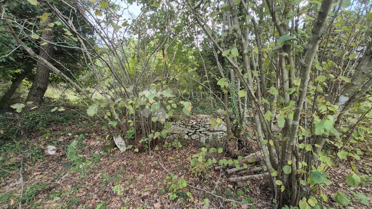 Kmetijsko zemljišče s kažunom (tradicionalno vaško hišo) velikosti 3550 m2