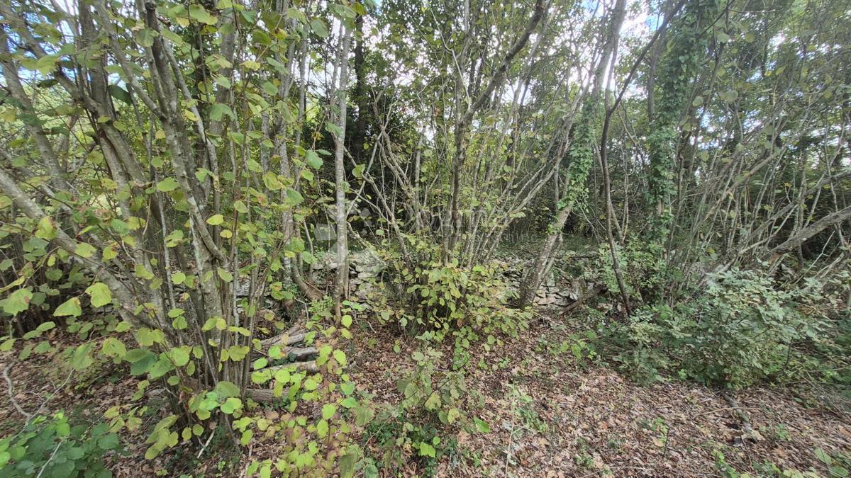 Kmetijsko zemljišče s kažunom (tradicionalno vaško hišo) velikosti 3550 m2