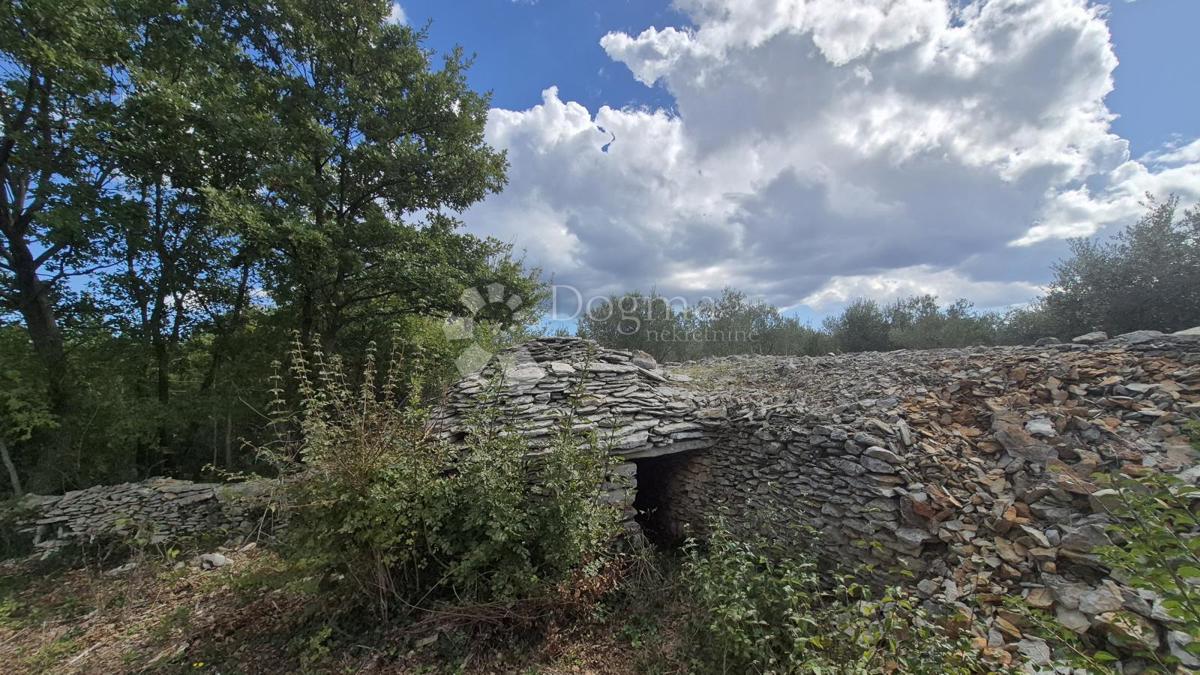 Kmetijsko zemljišče s kažunom (tradicionalno vaško hišo) velikosti 3550 m2