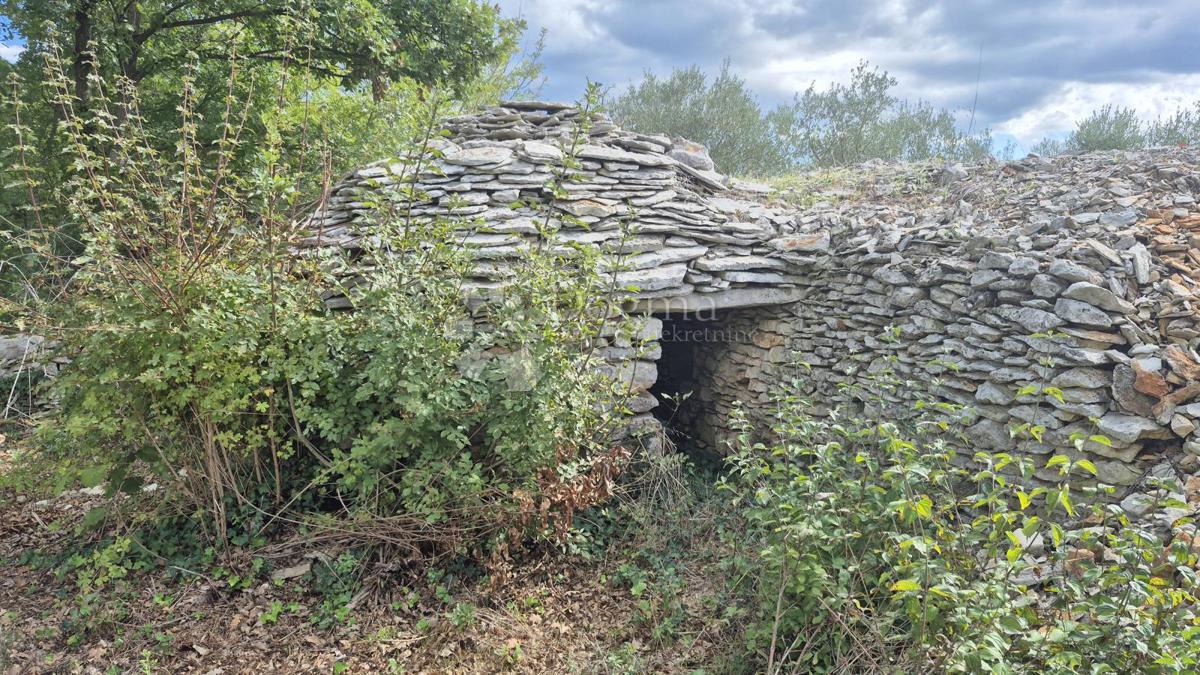 Kmetijsko zemljišče s kažunom (tradicionalno vaško hišo) velikosti 3550 m2