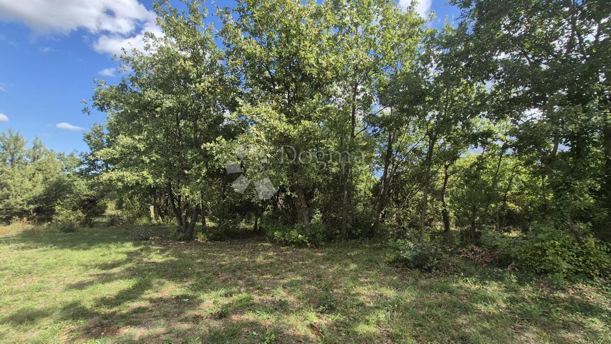 Kmetijsko zemljišče s kažunom (tradicionalno vaško hišo) velikosti 3550 m2