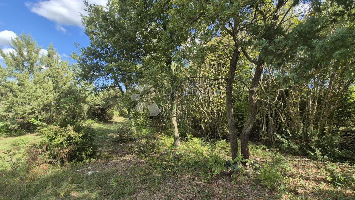 Kmetijsko zemljišče s kažunom (tradicionalno vaško hišo) velikosti 3550 m2