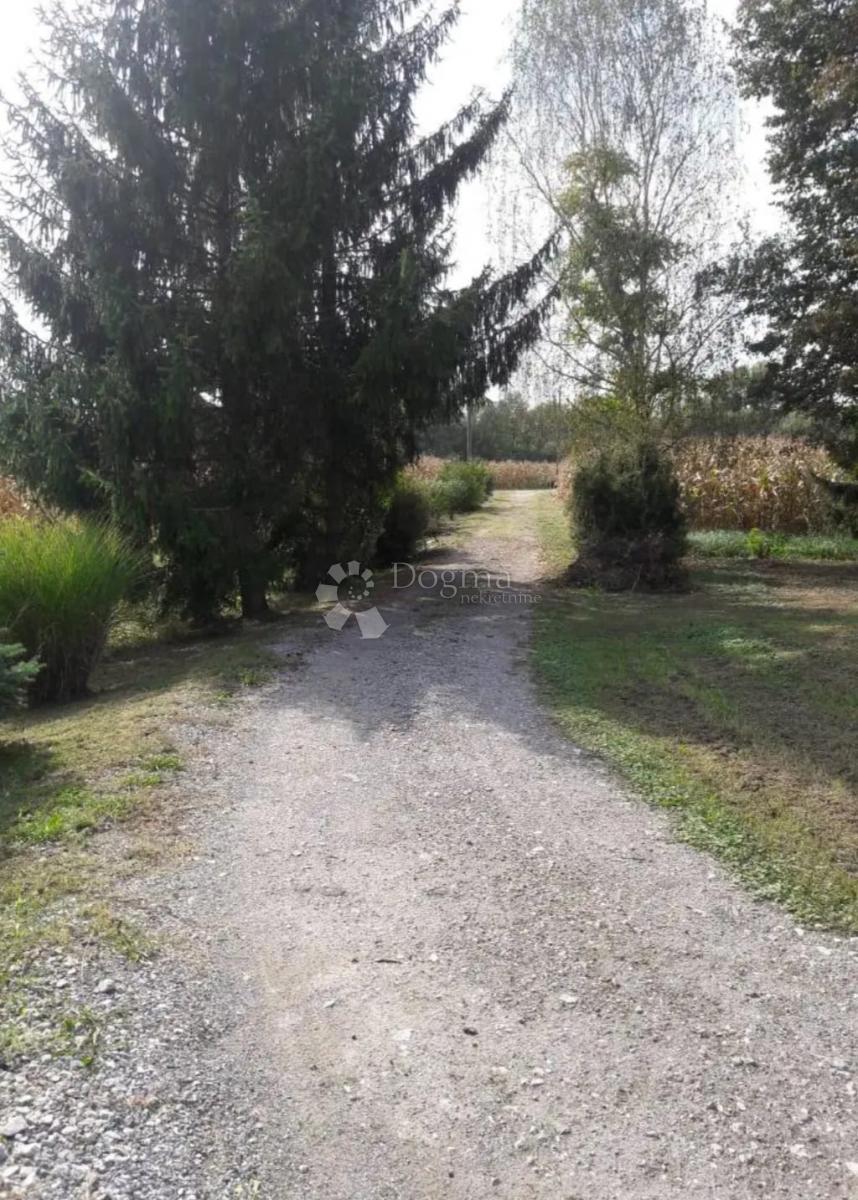 Hiša Donji Čemehovec, Dubravica, 200m2