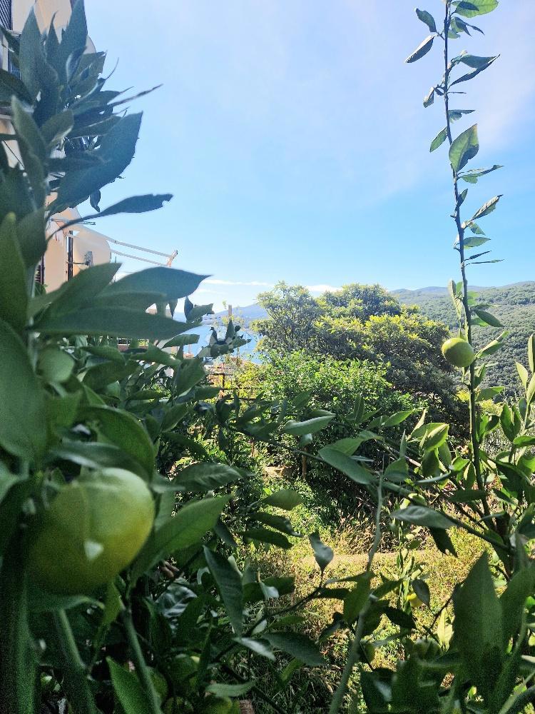 Stanovanje Rabac, Labin, 70,58m2