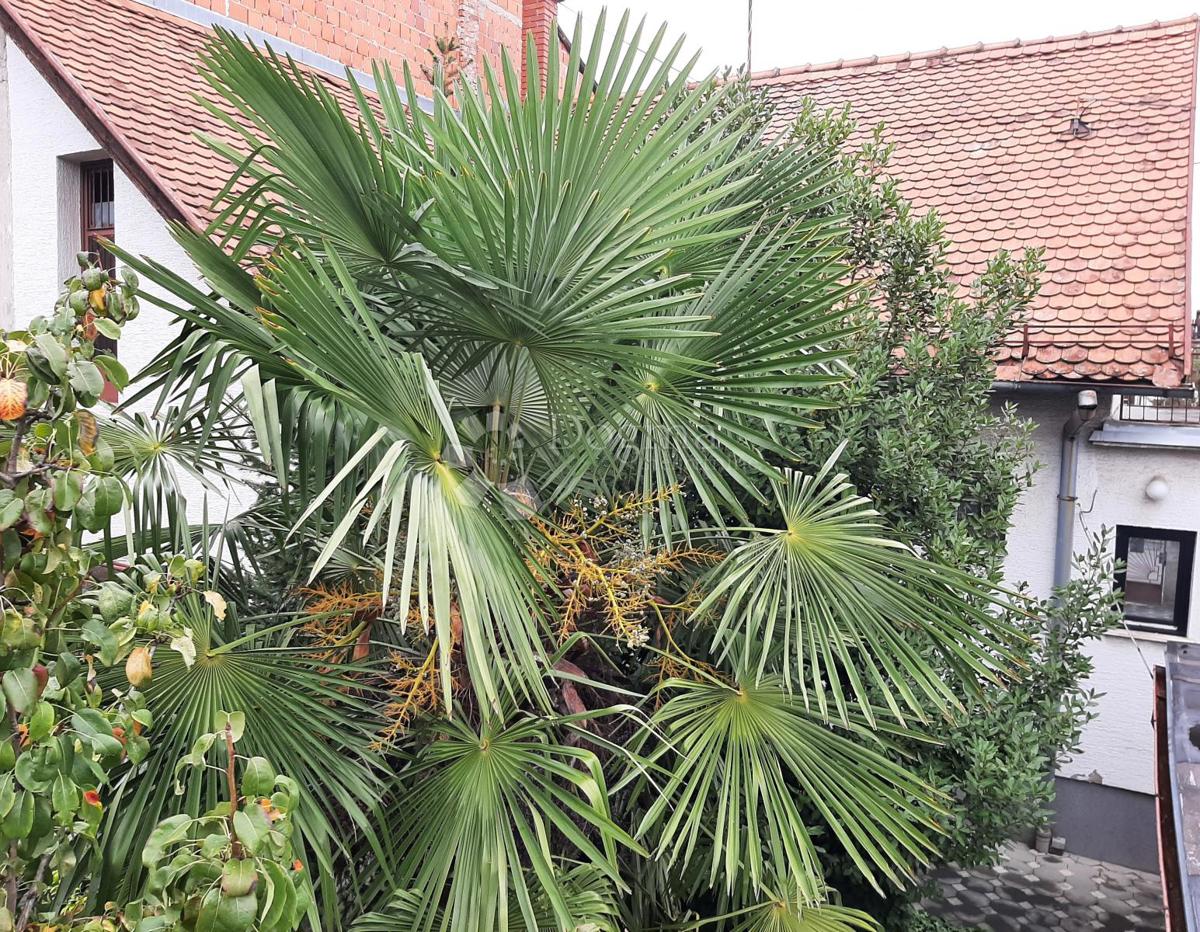 Hiša Gornja Dubrava, 116m2