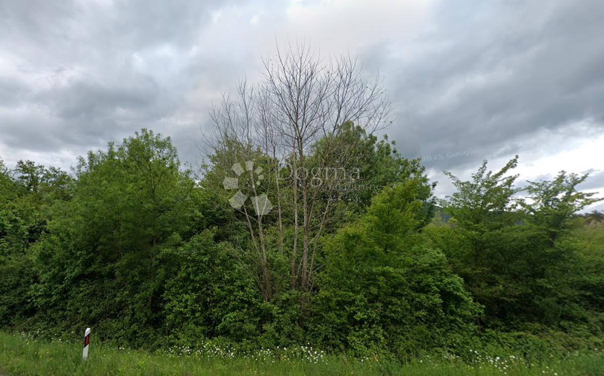 Kmetijsko zemljišče Buzet, 5.777m2