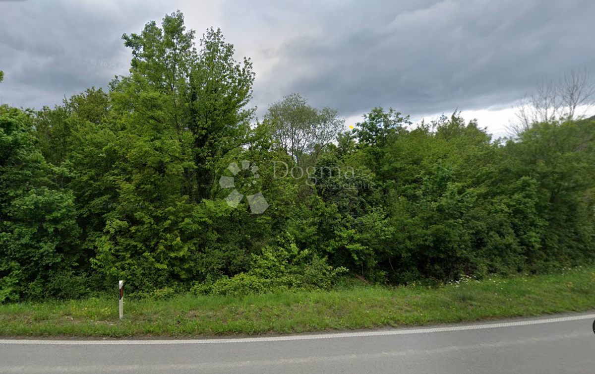 Kmetijsko zemljišče Buzet, 5.777m2