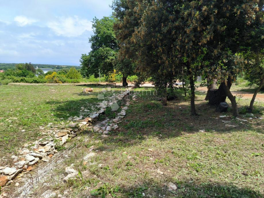 Zazidljivo zemljišče Ližnjan, 530m2