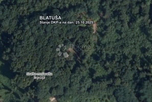 Kmetijsko zemljišče Blatuša, Gvozd, 13.606m2