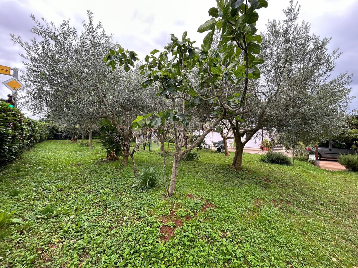 Prostorna hiša s štirimi stanovanjskimi enotami, garažo in čudovitim vrtom – le 1 km od centra Umaga in plaže