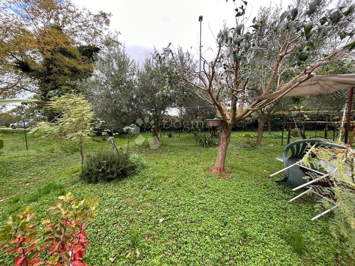 Prostorna hiša s štirimi stanovanjskimi enotami, garažo in čudovitim vrtom – le 1 km od centra Umaga in plaže