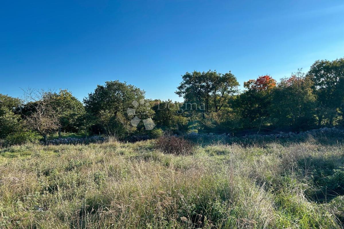 Zazidljivo zemljišče Bale, 1.235m2