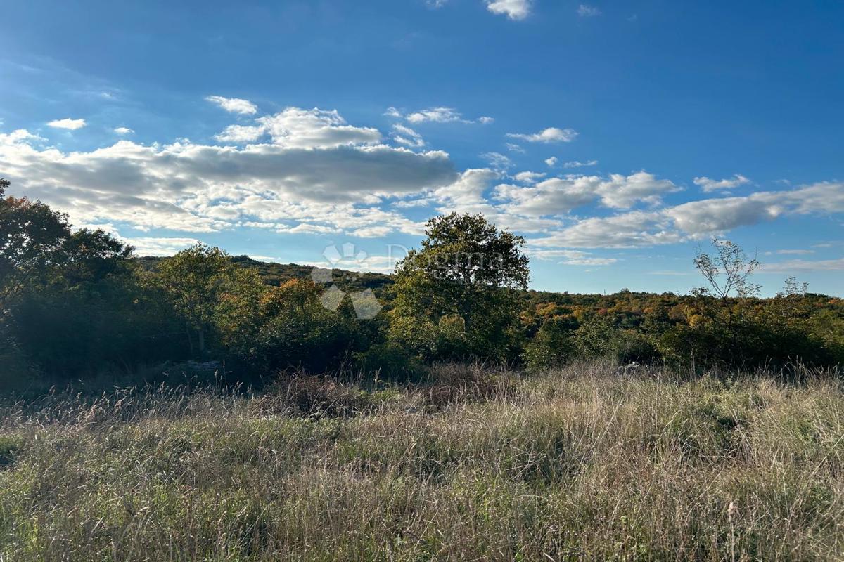 Zazidljivo zemljišče Bale, 1.235m2