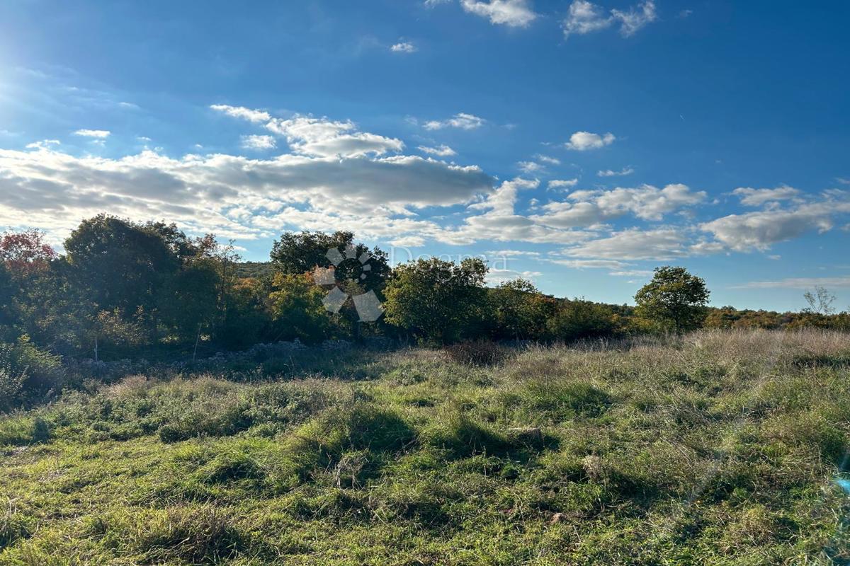 Zazidljivo zemljišče Bale, 1.235m2