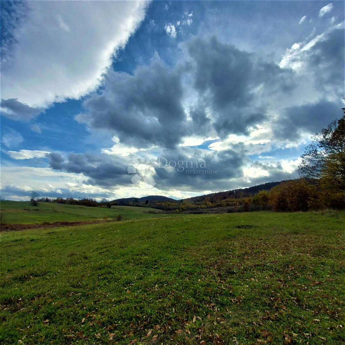 Kmetijsko zemljišče Kestenovac, Donji Lapac, 43.702m2